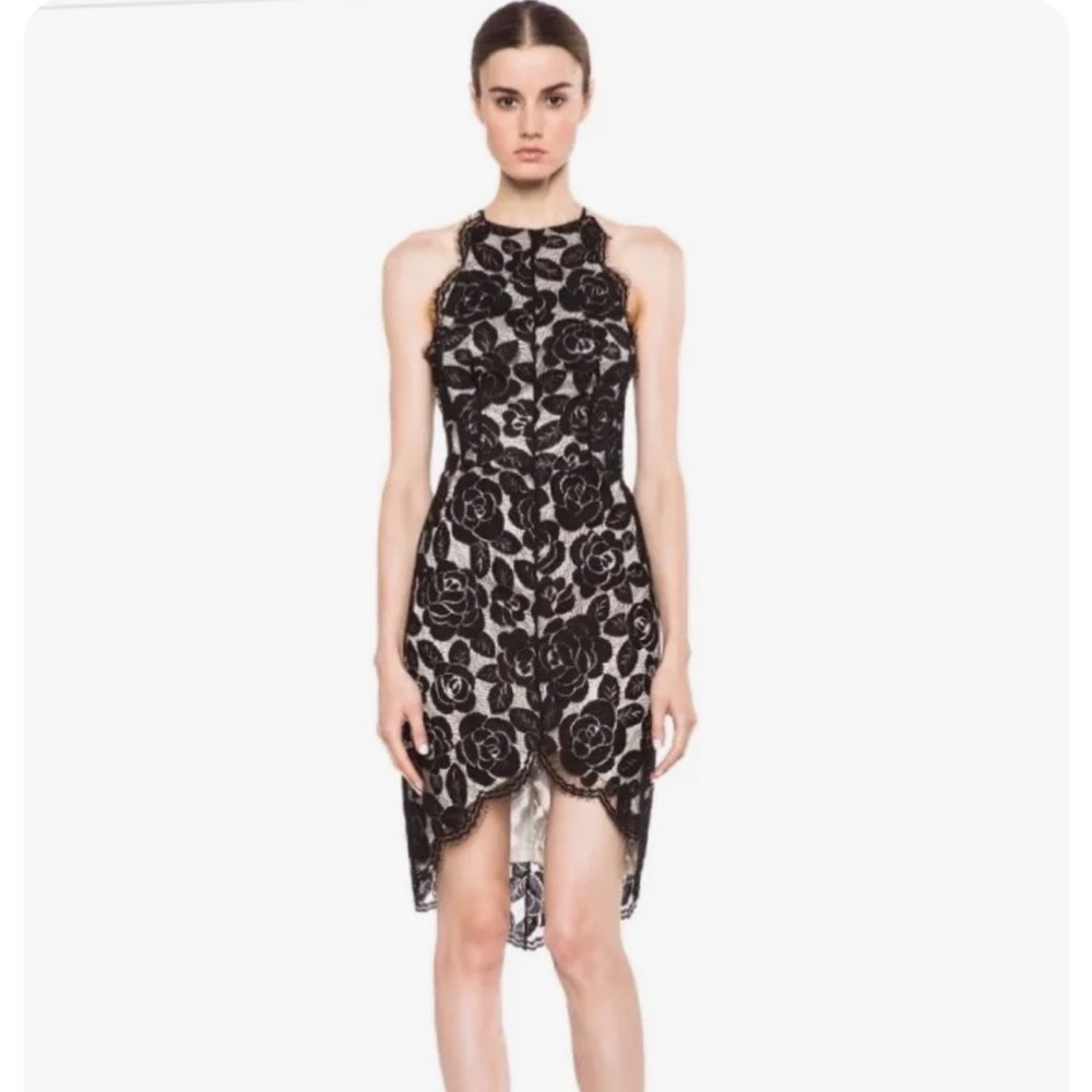 Lover the label black lace halter dress US 2